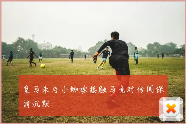 皇马未与小蜘蛛接触马竞对传闻保持沉默