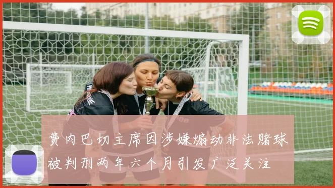 费内巴切主席因涉嫌煽动非法赌球被判刑两年六个月引发广泛关注