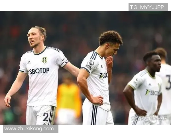 利兹联球迷两度向热刺球员投掷物品或将遭遇高额罚款 利兹联球迷两度向热刺球员投掷物品或将遭遇高额罚款