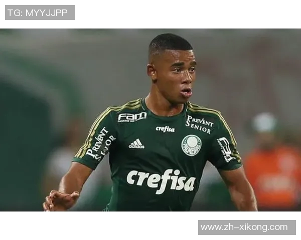 帕尔梅拉斯主席热情呼唤热苏斯归队期待重聚的美好时刻 帕尔梅拉斯主席热情呼唤热苏斯归队期待重聚的美好时刻